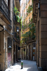 Street view in Gothic Quarter, Barcelona