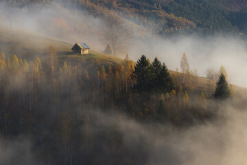 Autumn foggy landscape in rural Romania - obrazy, fototapety, plakaty