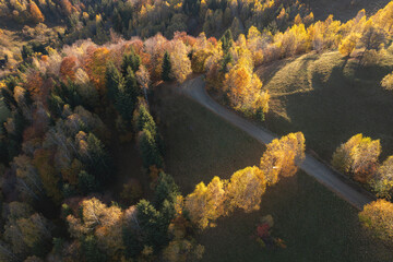 Aerial view of country road in autumn