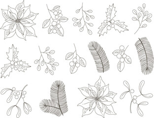 Vector set of holidays graphic plants. Merry Christmas floral design for invitation and greeting card, prints and posters.  Hand drawn winter elements