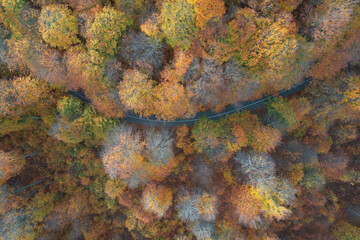 Aerial view of mountain road in autumn