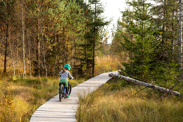 Small child riding on a bike on a wooden path through wetlands in National Park Sumava in autum
