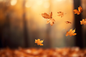 Naklejka na ściany i meble Colorful leaves in Autumn season with blurred background.