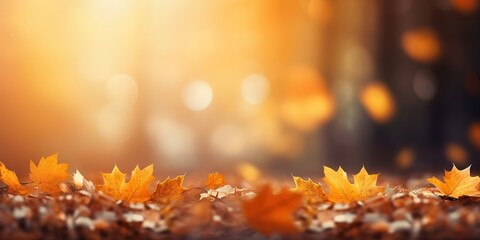 Naklejka na ściany i meble Enchanting Maple Splendor Sunlit Autumn Nature Vista, Generative AI