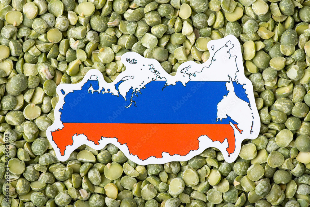 Wall mural Small flag and map of Russia in green pea. Concept of origin of pea grain, harvest of pea in Russia