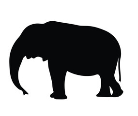 African Elephant Silhouette. Wildlife and nature concept vector art