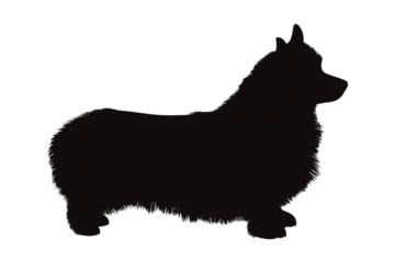 Fotobehang Vector silhouette of Corgi on white background. Symbol of pet and dog. © majivecka