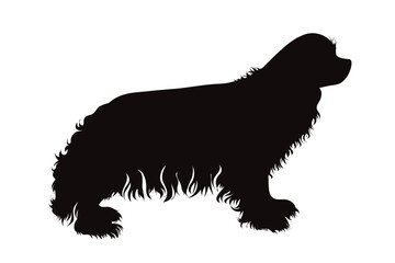 Vector silhouette of Cavalier King Charles spaniel on white background. Symbol of pet and dog. - 678663702