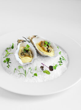 ostras alta cocina