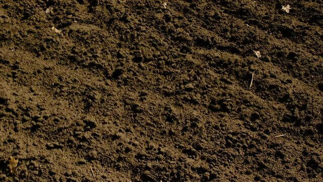 A tractor plows the ground in the field. Selective focus.