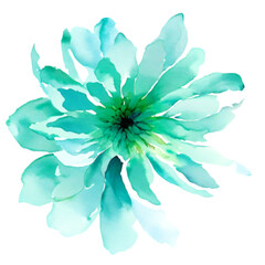 Obraz premium blue and white flower