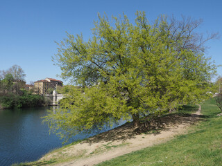Fototapeta premium River Po in Turin
