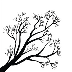 Naked tree silhouettes Hand drawn. Black Branch Tree. Hand drawn tree branches. old dry branch fallen from tree isolated on white background.