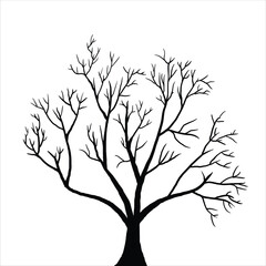 Naked tree silhouettes Hand drawn. Black Branch Tree. Hand drawn tree branches. old dry branch fallen from tree isolated on white background.