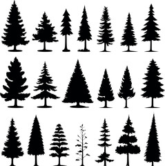 Pine trees silhouettes. Evergreen coniferous forest silhouette, nature spruce tree park view vector illustration.  woodland trees set Isolated white background - obrazy, fototapety, plakaty