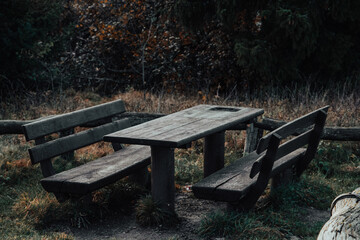 Fototapeta premium bench in the park