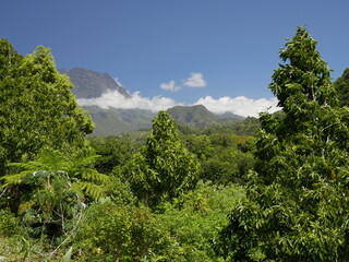 The lush vegetation and amazing landscape in Salazie circus, Reunion island, France overseas. La Réunion, travel destination. 