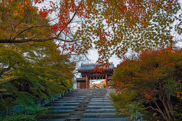 京都 毘沙門堂 薬医門の秋景色