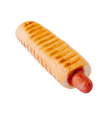 hot dog isolated on white background
