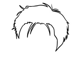 Male Haircut Handrawn