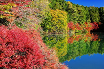 秋の南伊奈ヶ湖