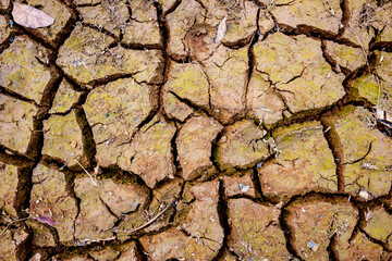 Closeup view of dry cracked soil