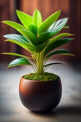  A plant in a pot in a futuristic style levitating