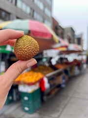 hand holding a longan fruit over outdoor farmers market