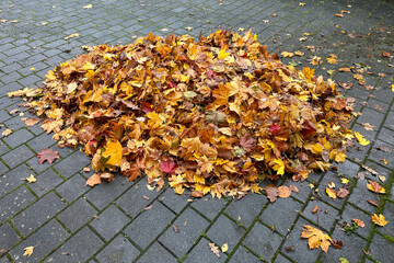 Viel Herbstlaub