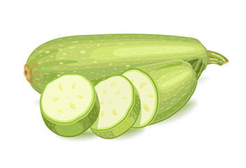 Vegetable zucchini. Cut slices. Vector illustration on white background