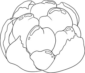 Cloudberry vector, line drawing. Organic berry superfood. Hand drawn icon for label, poster, packaging design or coloring pages