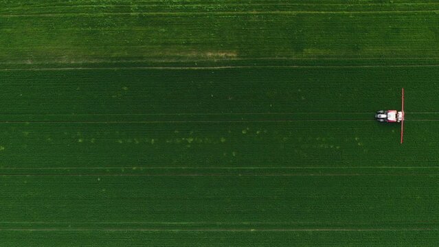 Aerial shot of tractor with crop sprayer attached in wheat grass field, drone pov