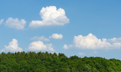 Idyllic landscape with forest and blue sky with clouds