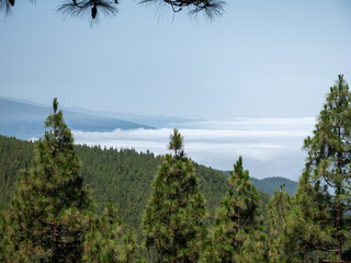 Teneriffa 