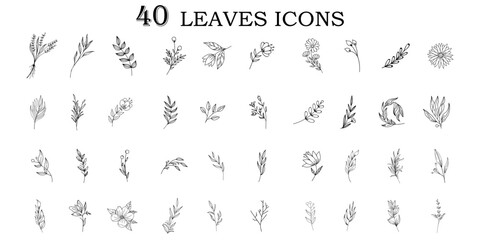Leaves icons. Organic Leaf thin line icons set.