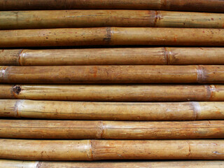 Close-up view of bamboo pile.