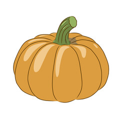 pumpkin isolated on transparent background