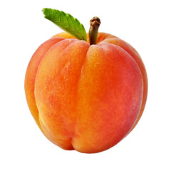Apricot isolated on a white or transparent background