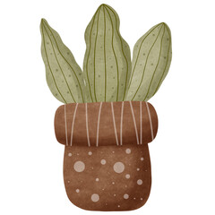plant pot