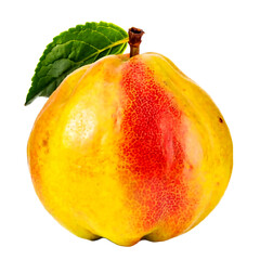 A fresh quince isolated on a white or transparent background