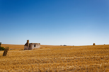 A derelict farm house in an open field with blue skies near Porterville in the Western Cape, South...