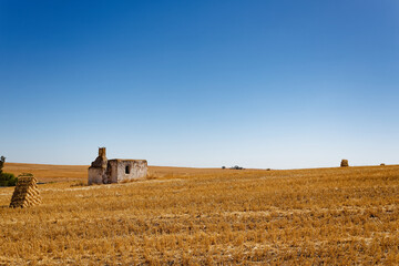 Fototapeta premium A derelict farm house in an open field with blue skies near Porterville in the Western Cape, South Africa.