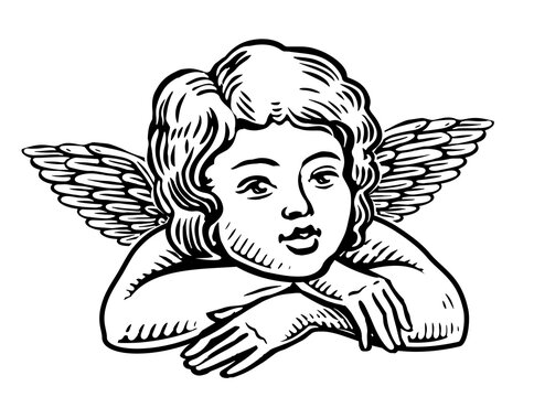 Cute baby with wings. Hand drawn little angel. Sketch vintage illustration