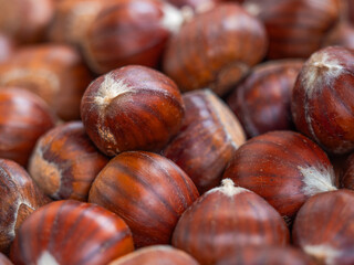 Nahaufnahme von Maronen der Esskastanie (Castanea sativa) die verteilt auf einer ebenen Oberfläche liegen.