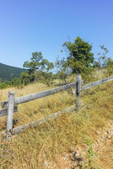 Fototapeta premium Summer Landscape of Rudina mountain, Bulgaria