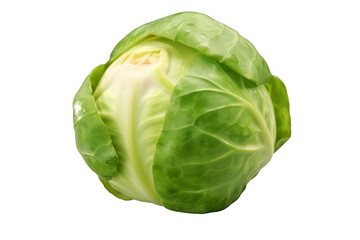 Fototapeta premium a brussels sprout on white transparent background