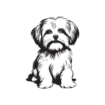 recommend clip art: Maltese Image Vector. Illustration Maltese