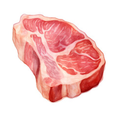 Transparent png background on a piece of meat in watercolor style