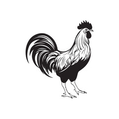 Rooster Image Vector, art and Design