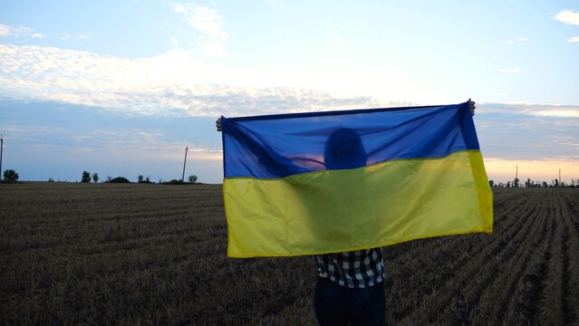 Ukrainian lady walking with national blue-yellow banner on barley meadow at sunrise. Woman going with raised flag of Ukraine above her head on wheat field at sunset. Victory against rusian aggression.